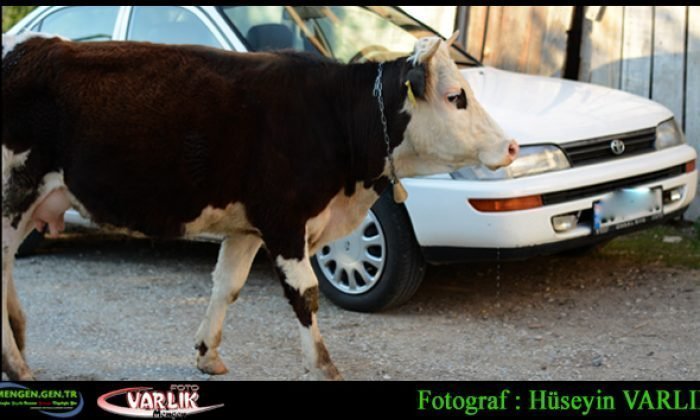 9 Mayıs günün fotoğrafı