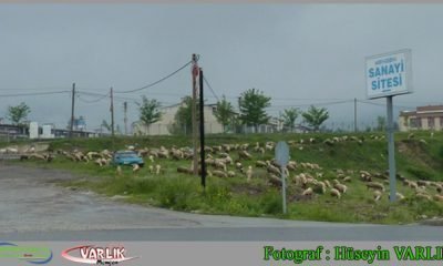 31 Mayıs günün fotoğrafı
