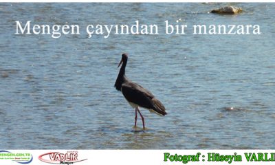 11 Temmuz Günün Fotoğrafı