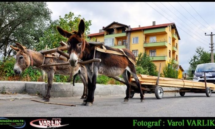 26 Ağustos 2016 – Günün Fotoğrafı