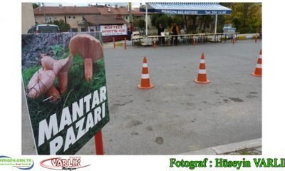 11 Ekim Günün Fotoğrafı