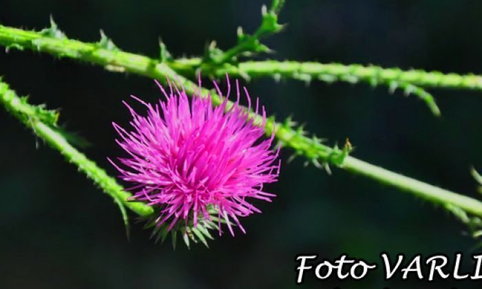22 Ekim Günün Fotoğrafı