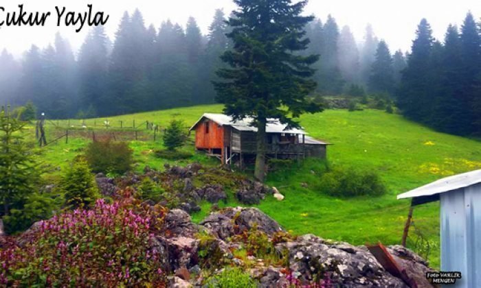 24 Ekim Günün Fotoğrafı