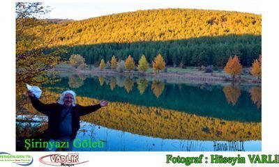 3 Kasım Günün Fotoğrafı