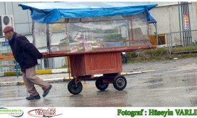 14 Kasım Günün Fotoğrafı