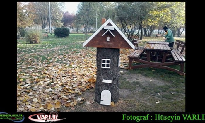 5 Kasım Günün Fotoğrafı