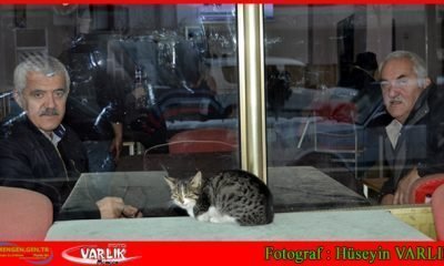 7 Aralık Günün Fotoğrafı