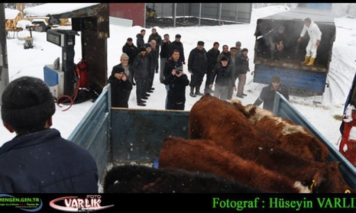 3 Ocak Günün Fotoğrafı