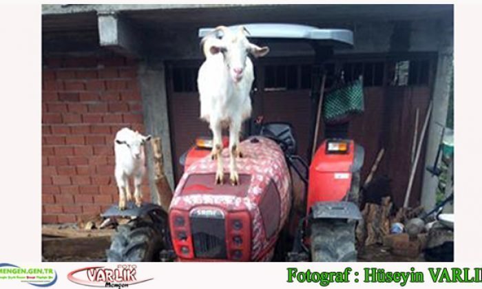 9 Ocak Günün Fotoğrafı