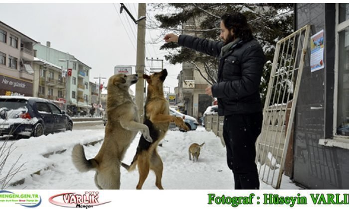 27 Ocak Günün Fotoğrafı