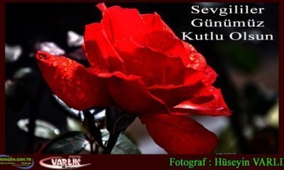 14 Şubat Günün Fotoğrafı