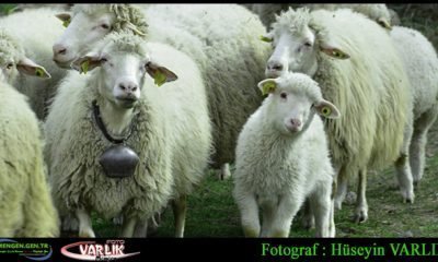8 Mart Günün Fotoğrafı