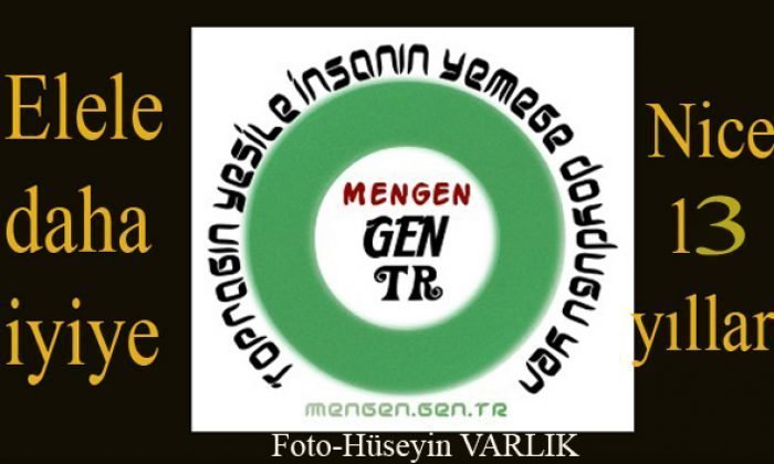 Mengen.Gen.TR 14 YAŞINDA