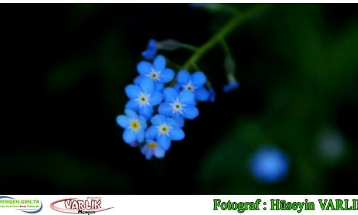 18 Nisan Günün Fotoğrafı