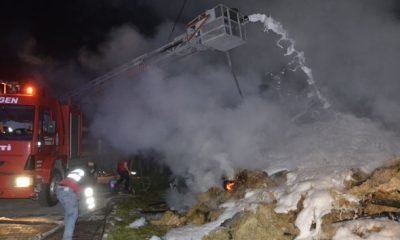 Samanlık yangını korkuttu