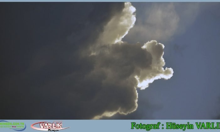 11 Mayıs Günün Fotoğrafı
