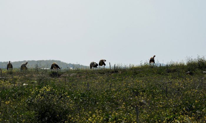 5 Mayıs Günün Fotoğrafı