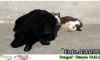 4 Haziran Günün Fotoğrafı