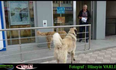 24 Mayıs günün fotoğrafı