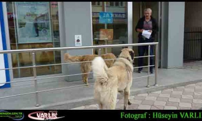 24 Mayıs günün fotoğrafı