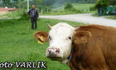 13 Agustos Günün Fotoğrafı