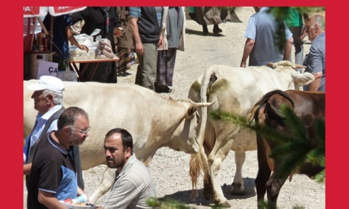 13 Haziran günün fotoğrafı