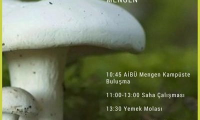 Mengen’de Jilber BARUTÇİYAN ile Mantar