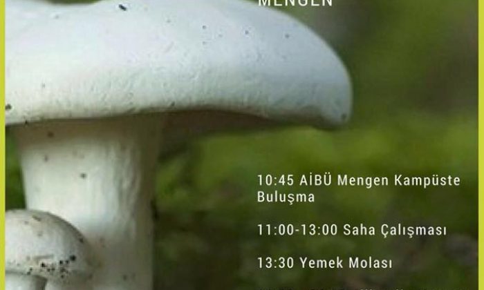 Mengen’de Jilber BARUTÇİYAN ile Mantar