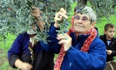 Canan Karatay önerdi: ‘Su içer gibi için’