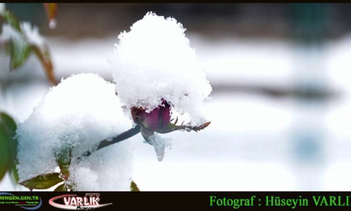 6 Aralık Günün Fotoğrafı