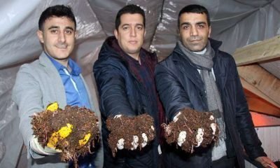3 arkadaş internette görüp ‘Solucan’ işine girdi ayda 15 bin lira kâr ediyor