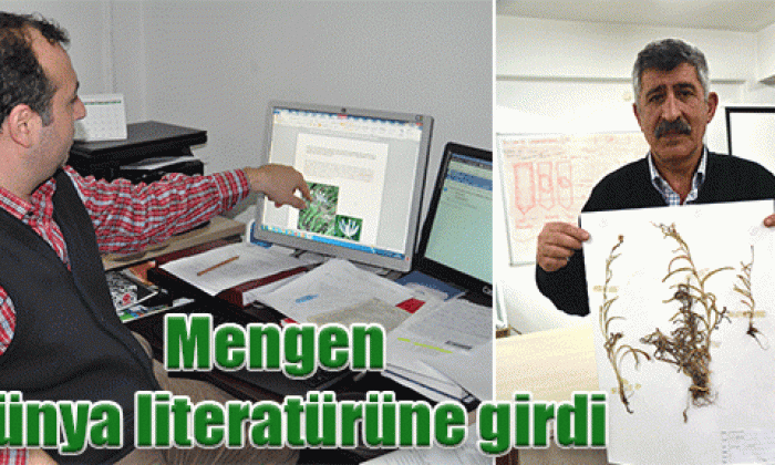 Mengen dünya literatürüne girdi