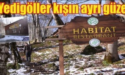 Yedigöller kış mevsiminin gözdesi