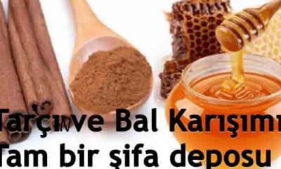 Tarçın ve Bal Karışımı! Tam Bir Şifa Deposu…