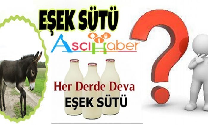 Turizm Sektörünü Bıraktı Eşek Sütü Üretimine Başladı