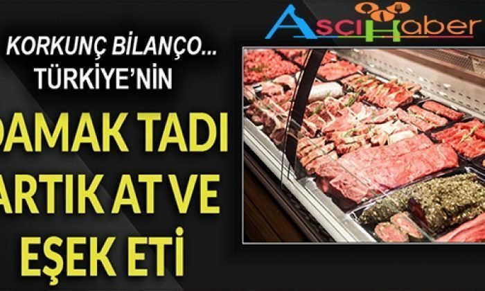 Türkiye’nin Damak Tadı Artık At ve Eşek Eti!