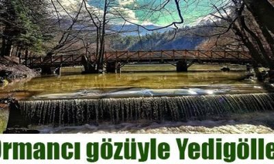 Ormancı gözüyle Yedigöller