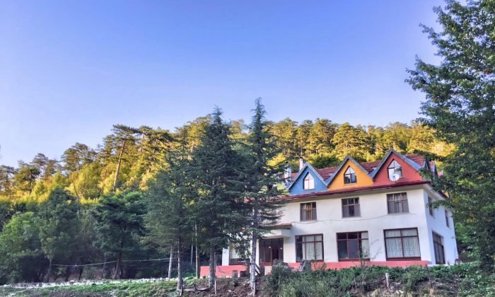 Mengen Yenice Orman Evi