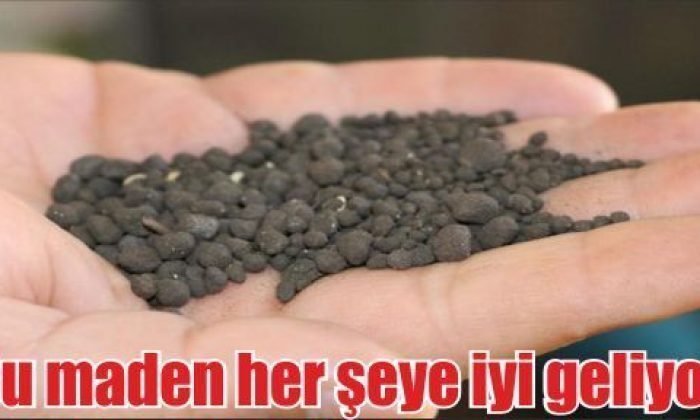 Bu maden her şeye iyi geliyor