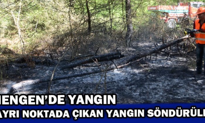 MENGEN İLÇESİNDE 3 AYRI NOKTADA ÇIKAN YANGIN SÖNDÜRÜLDÜ