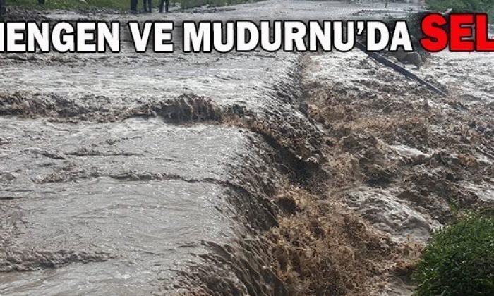 Sağanak yağış hayatı olumsuz etkiledi