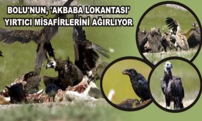 BOLU’NUN, ‘AKBABA LOKANTASI’ YIRTICI MİSAFİRLERİNİ AĞIRLIYOR