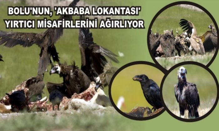 BOLU’NUN, ‘AKBABA LOKANTASI’ YIRTICI MİSAFİRLERİNİ AĞIRLIYOR