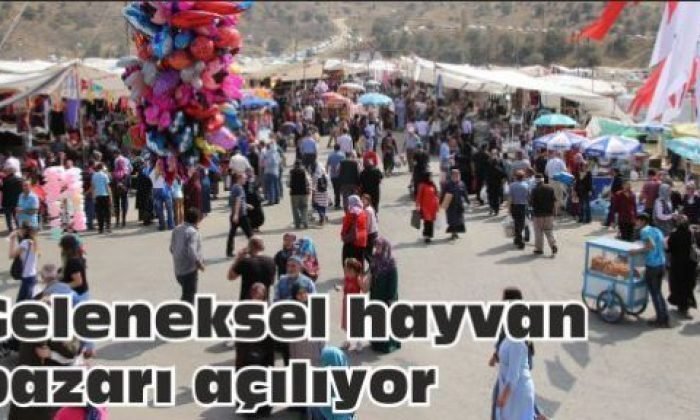 Geleneksel hayvan pazarı açılıyor