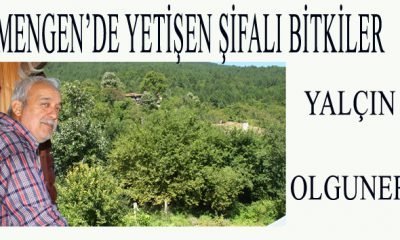 SİNİRLİ OT