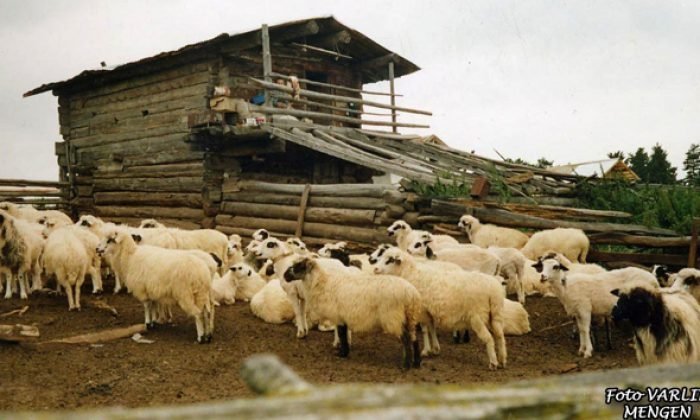 Bolu Yayla Turizminde de Söz Sahibi Olmak İstiyor