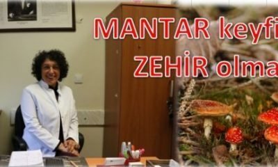 Dikkat! Mantar keyfiniz zehir olmasın
