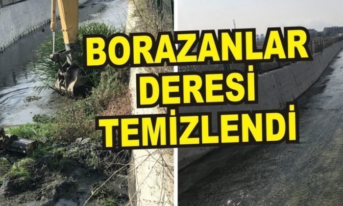 BORAZANLAR DERESİ TEMİZLENDİ