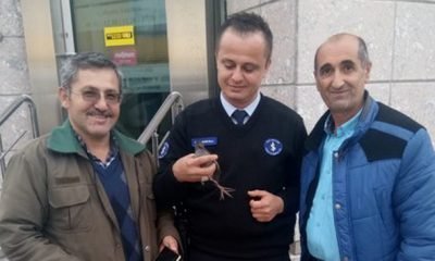 YAVRU ÇULLUGU MİLLİ PARKLARA TESLİM ETTİ