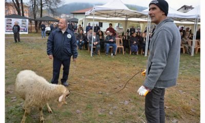 Törende Kurban Kesiminden Vazgeçildi
